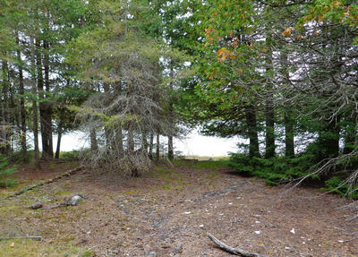 Lot 19 Lakefront