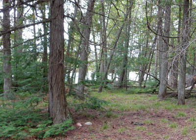 Lot 19 Path to Shore