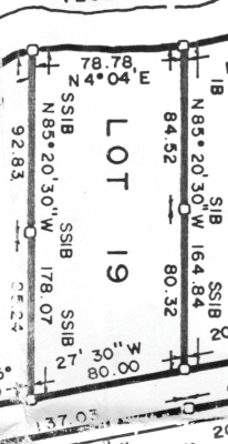 Lot 19 Survey