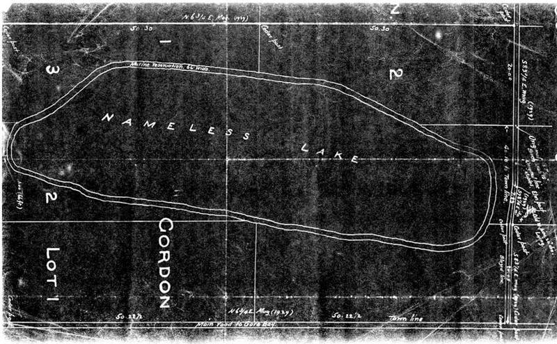 Original Survey