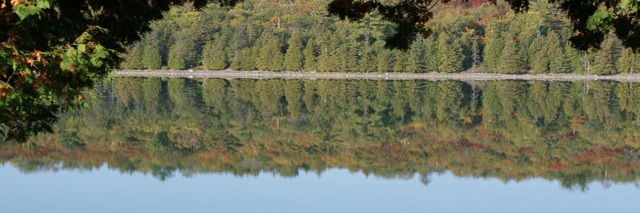 Timberstone Shores - Lake Reflection